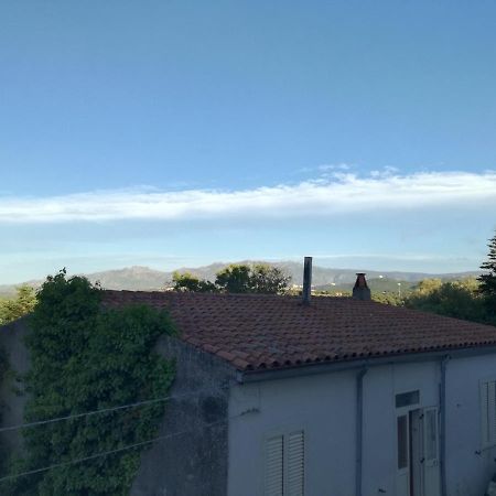 Monti Di Bo Leilighet Aggius Eksteriør bilde